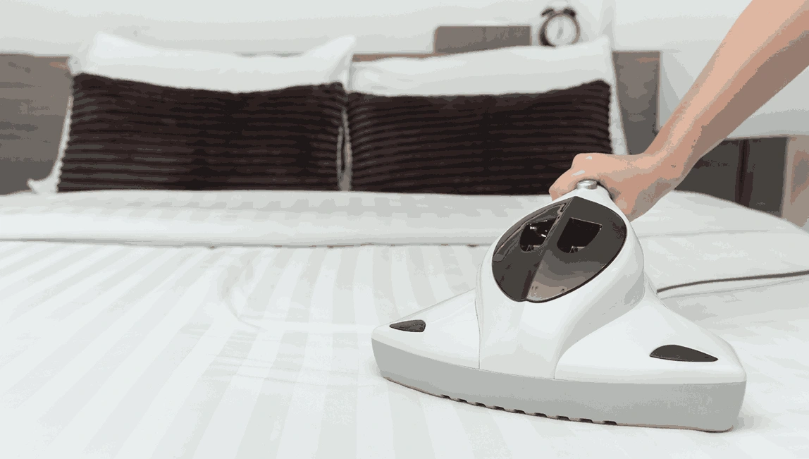 Professional Mattress Cleaning Springvale
